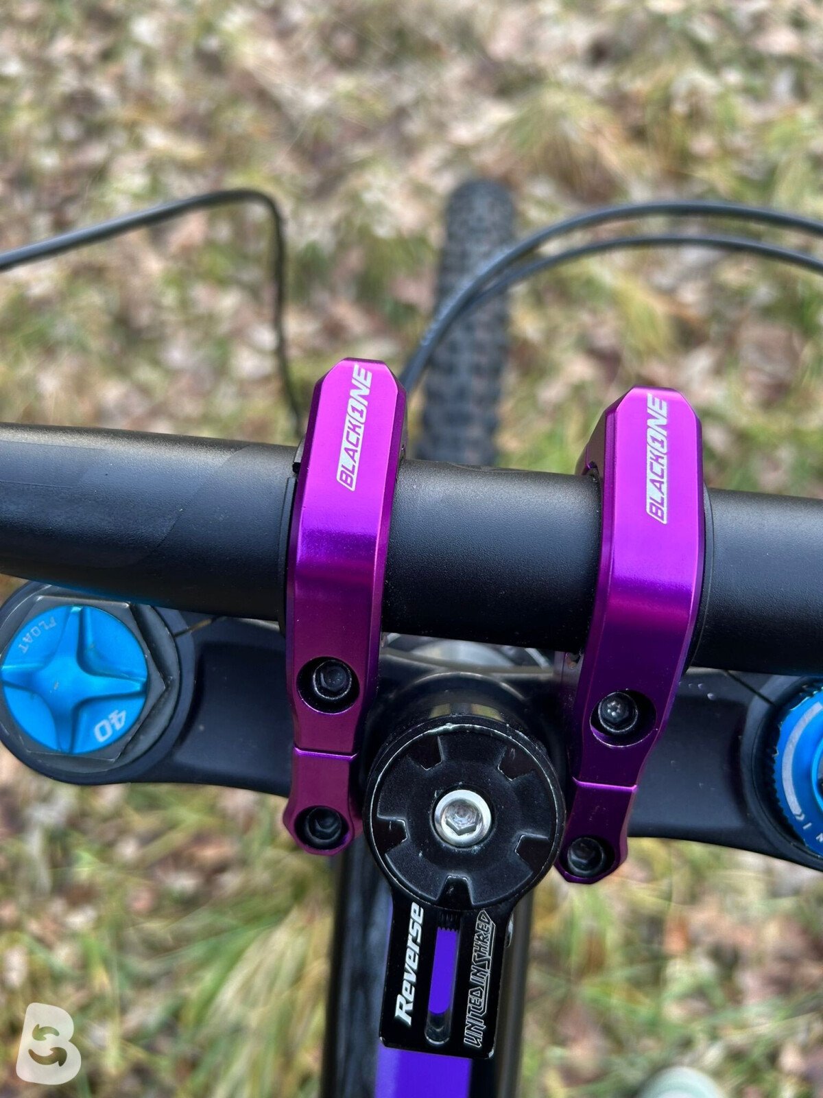 Scott Gambler 710 2019