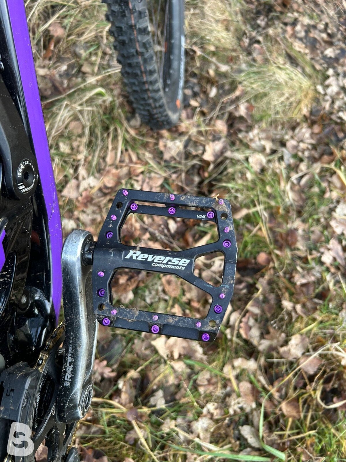 Scott Gambler 710 2019