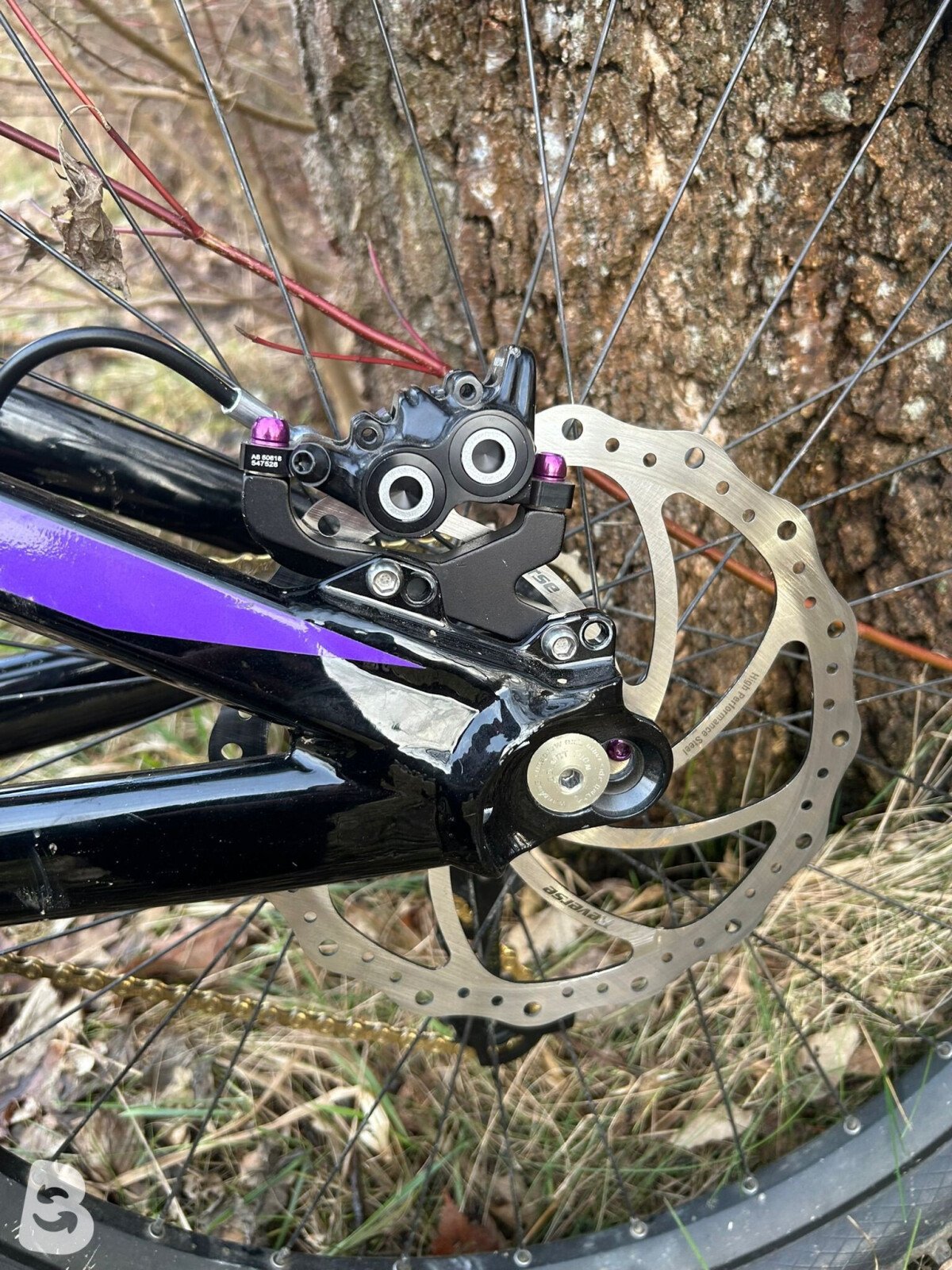 Scott Gambler 710 2019