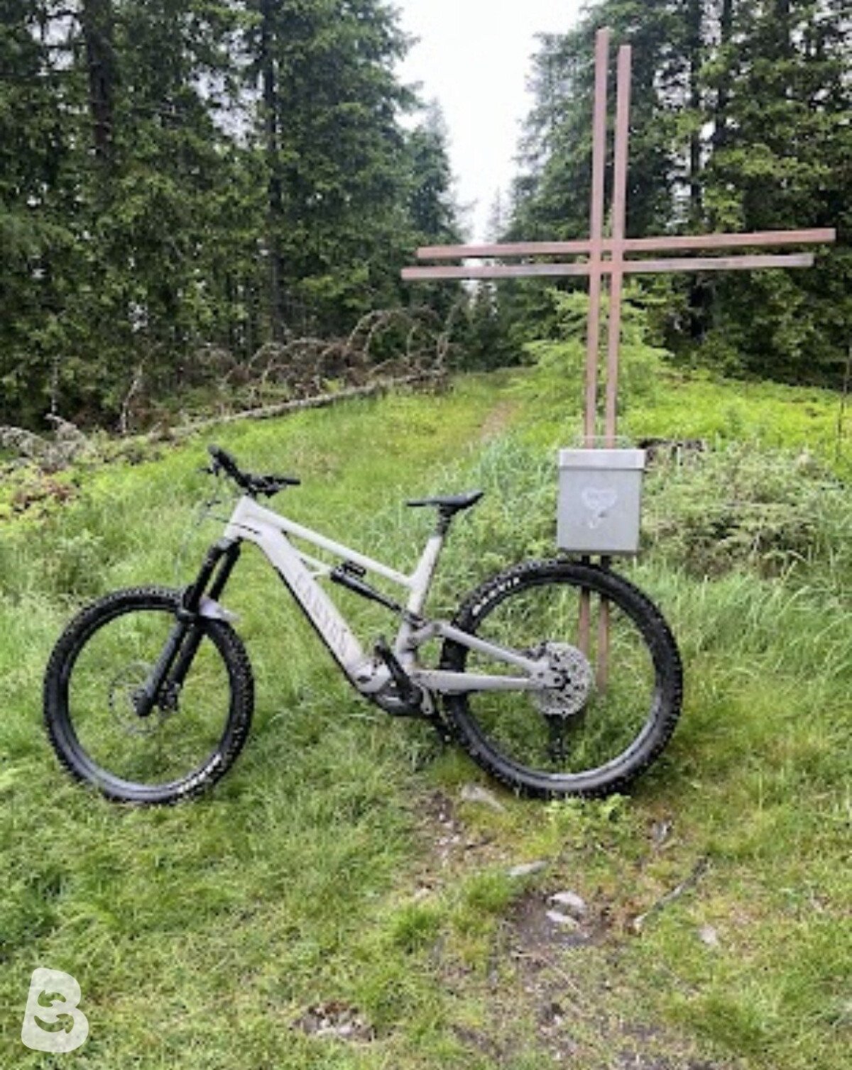 Canyon Torque:ON 8.0 2021
