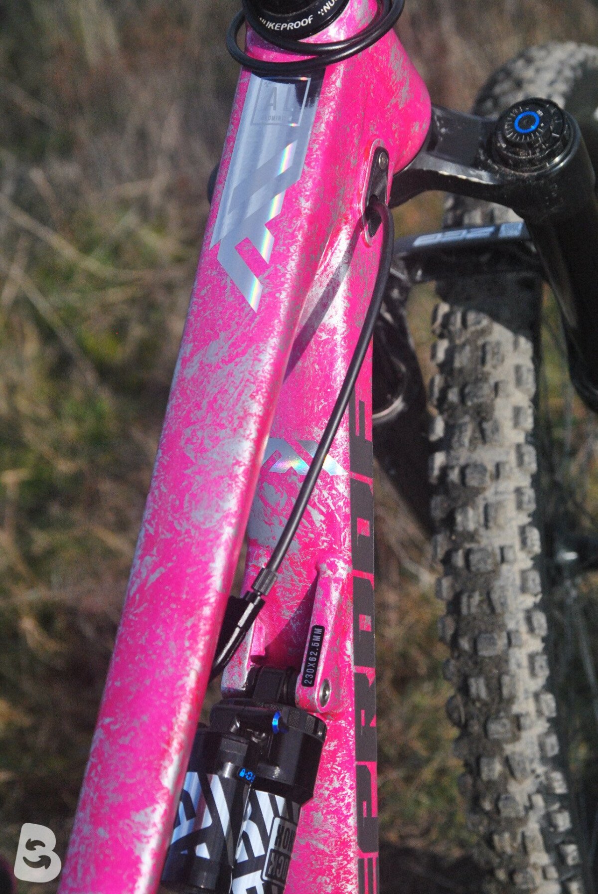 Nukeproof Mega 297 Pro custom 2024