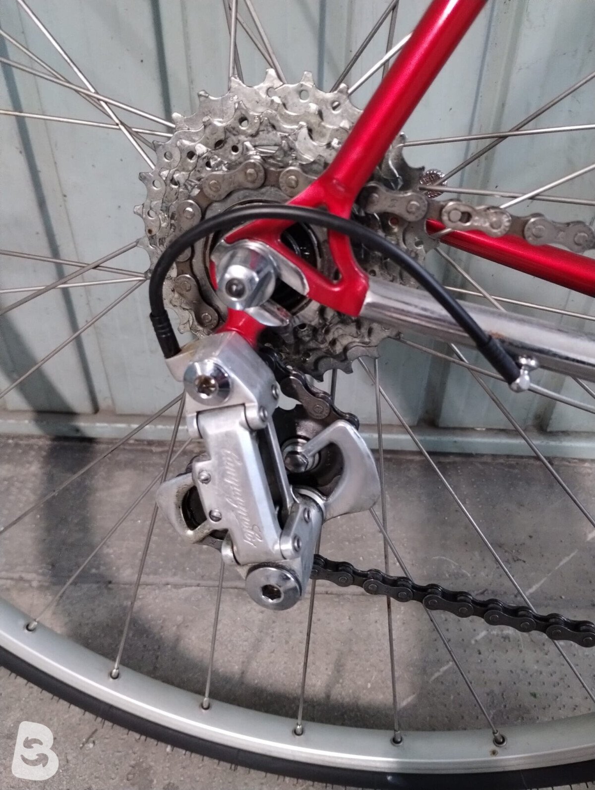 Daccordi corsa 2019