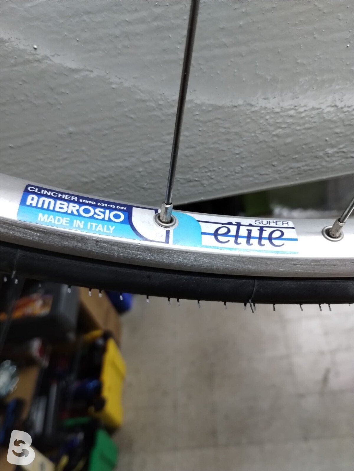 Daccordi corsa 2019