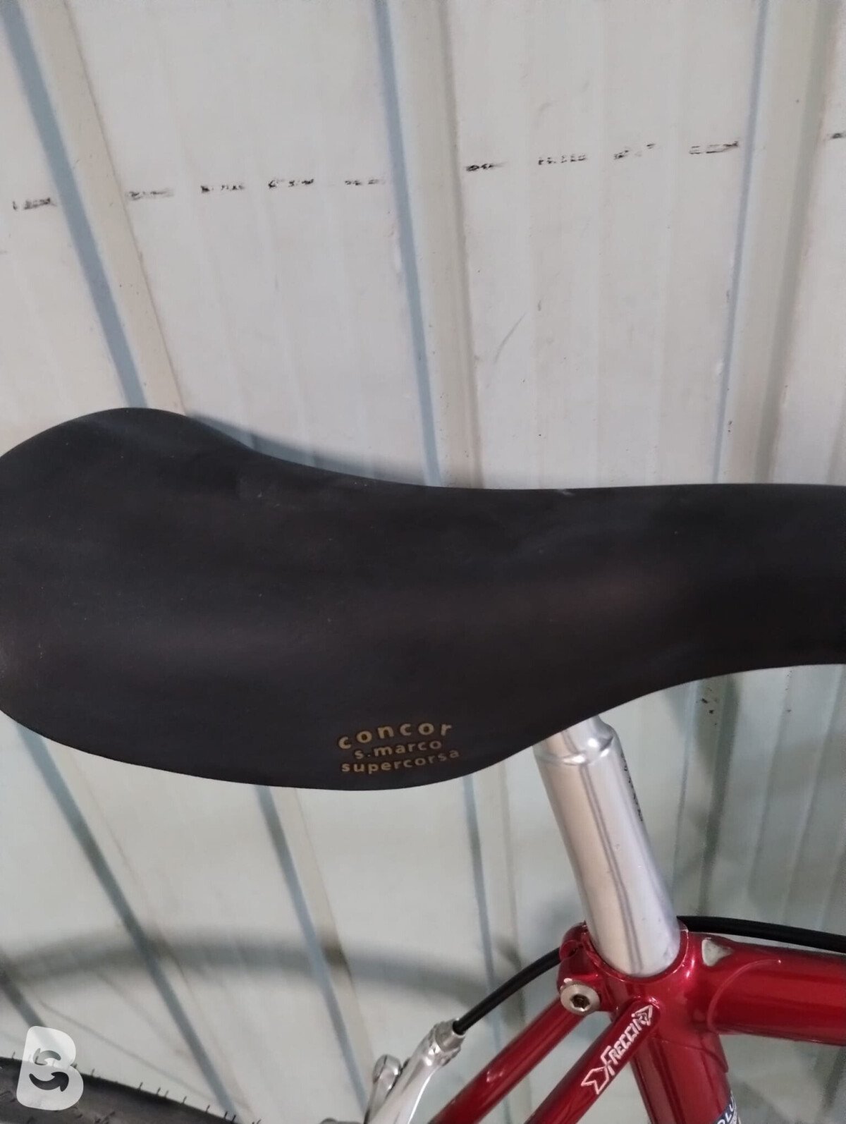Daccordi corsa 2019