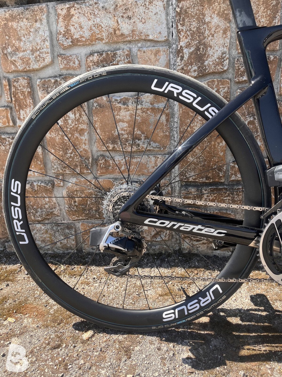 Corratec CCT EVO Pro Disc 2024