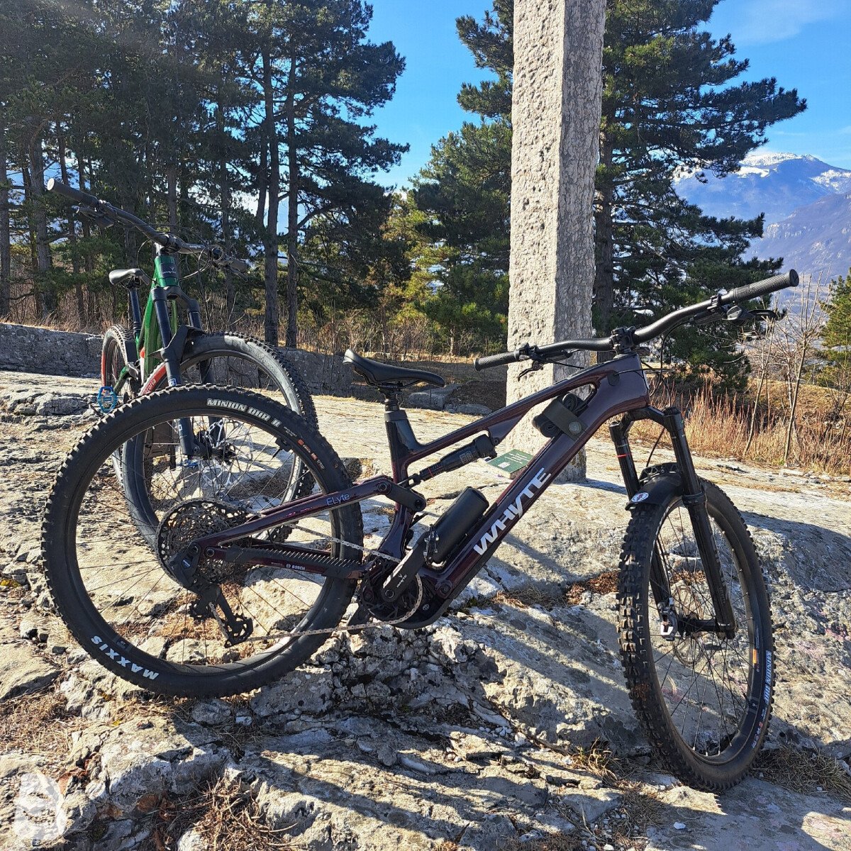 Whyte Elyte Evo RS 2025