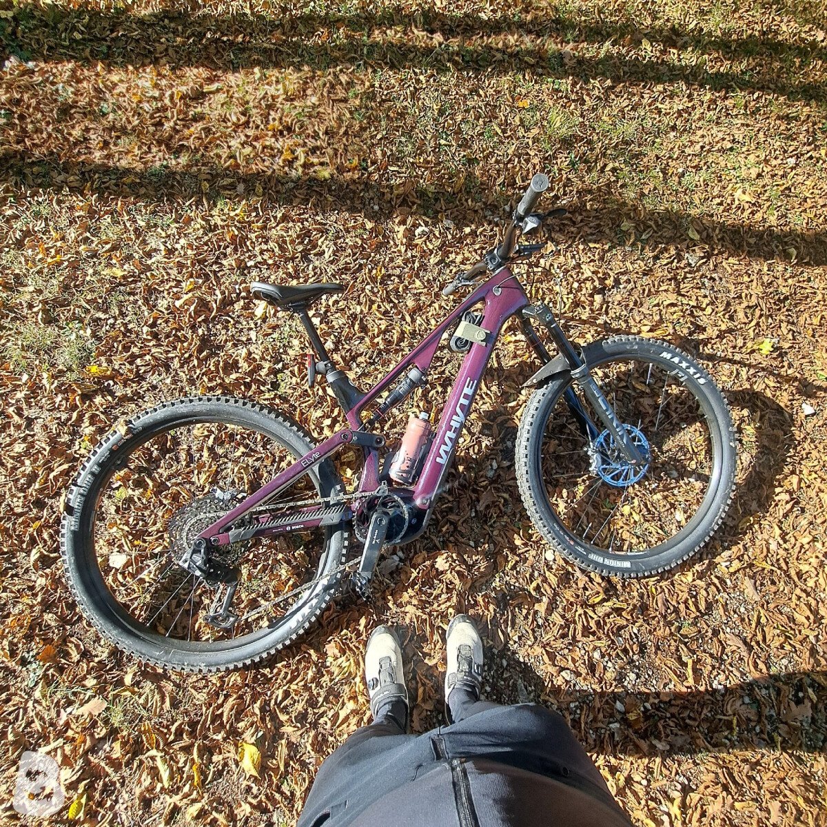 Whyte Elyte Evo RS 2025