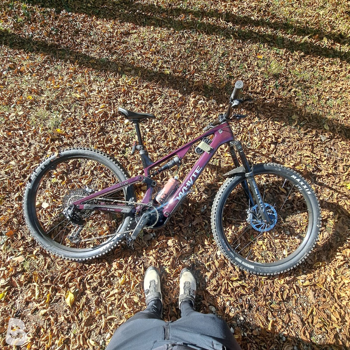 Whyte Elyte Evo RS 2025