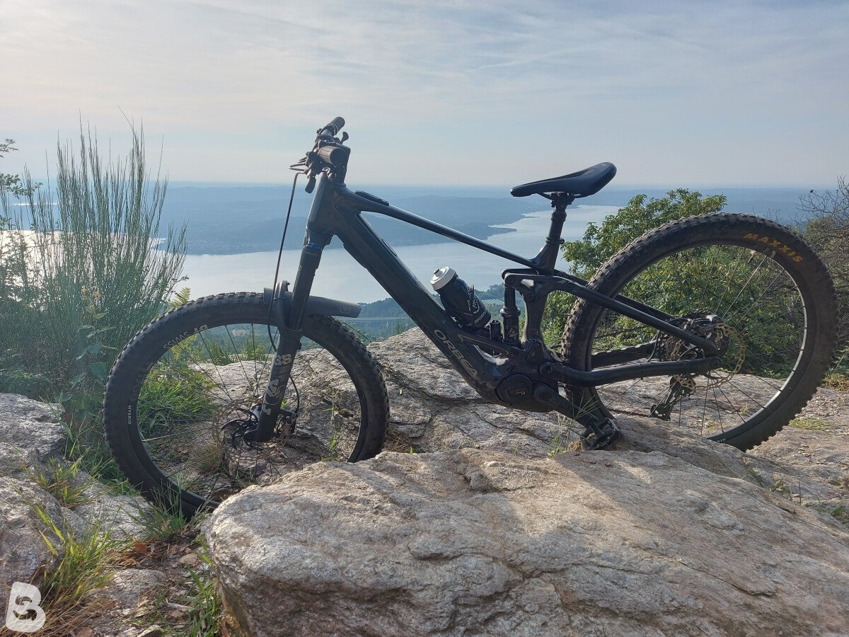 Orbea Wild HT 20 29 2024