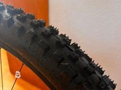 Specialized demo race /signed 2024