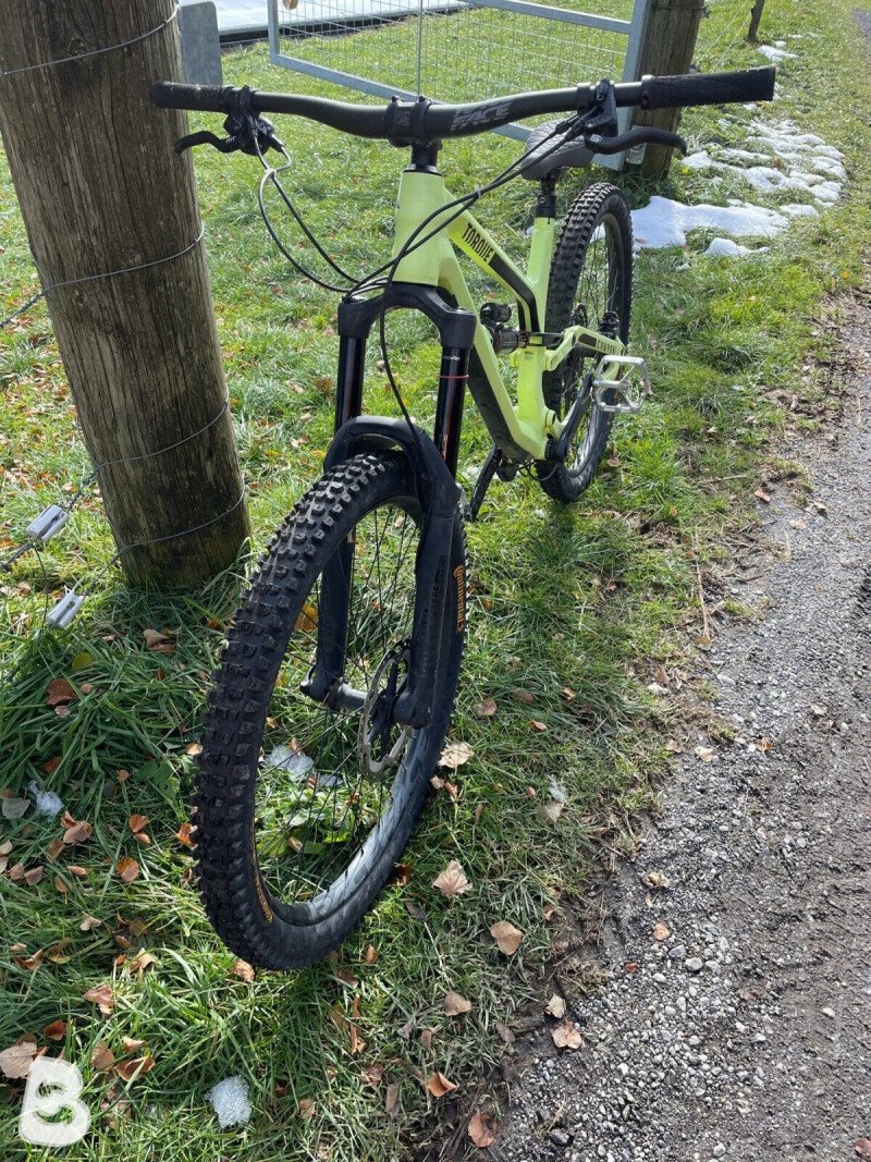 Canyon Torque AL 5.0 2020