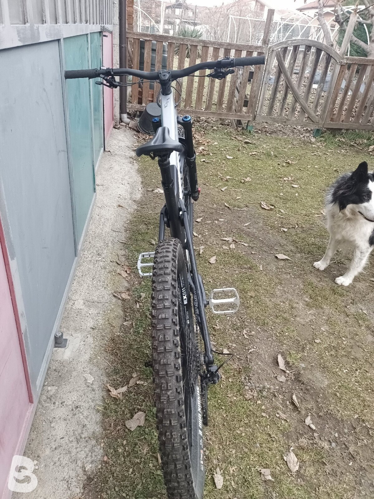 Canyon Strive Cfr Underdog 2023