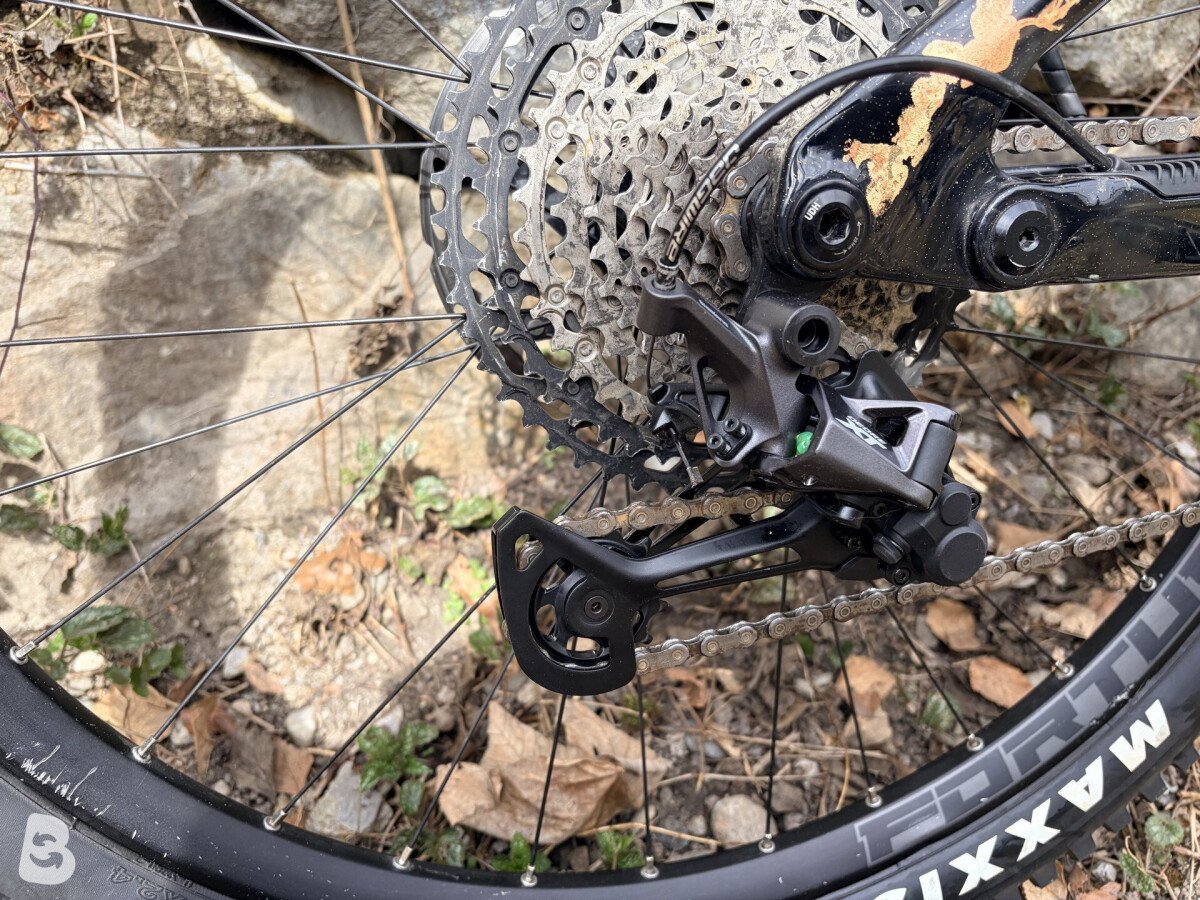 Transition Relay Custom 2024