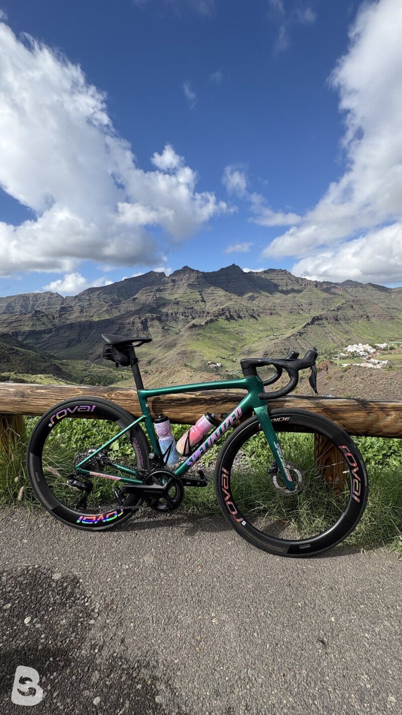 Specialized Tarmac 2024