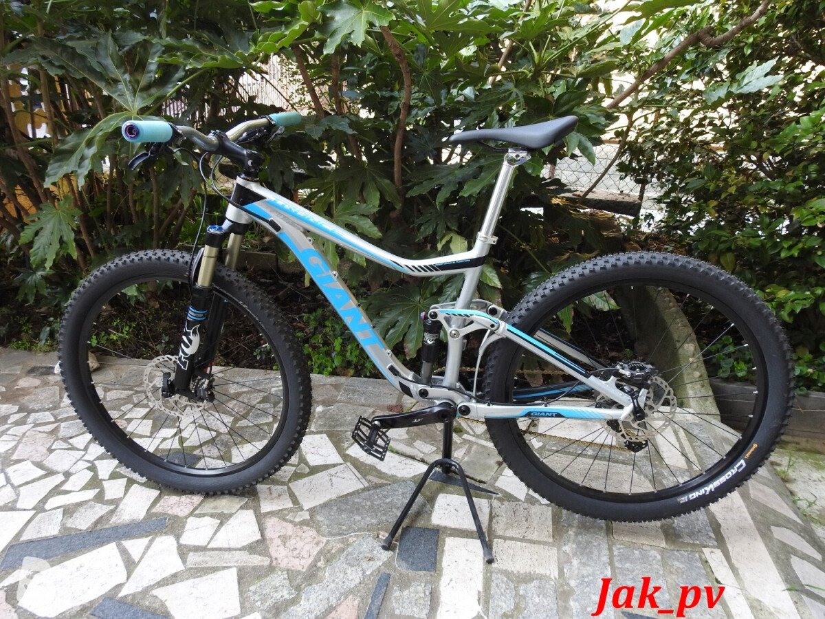 Giant Trance 1 custom 2014