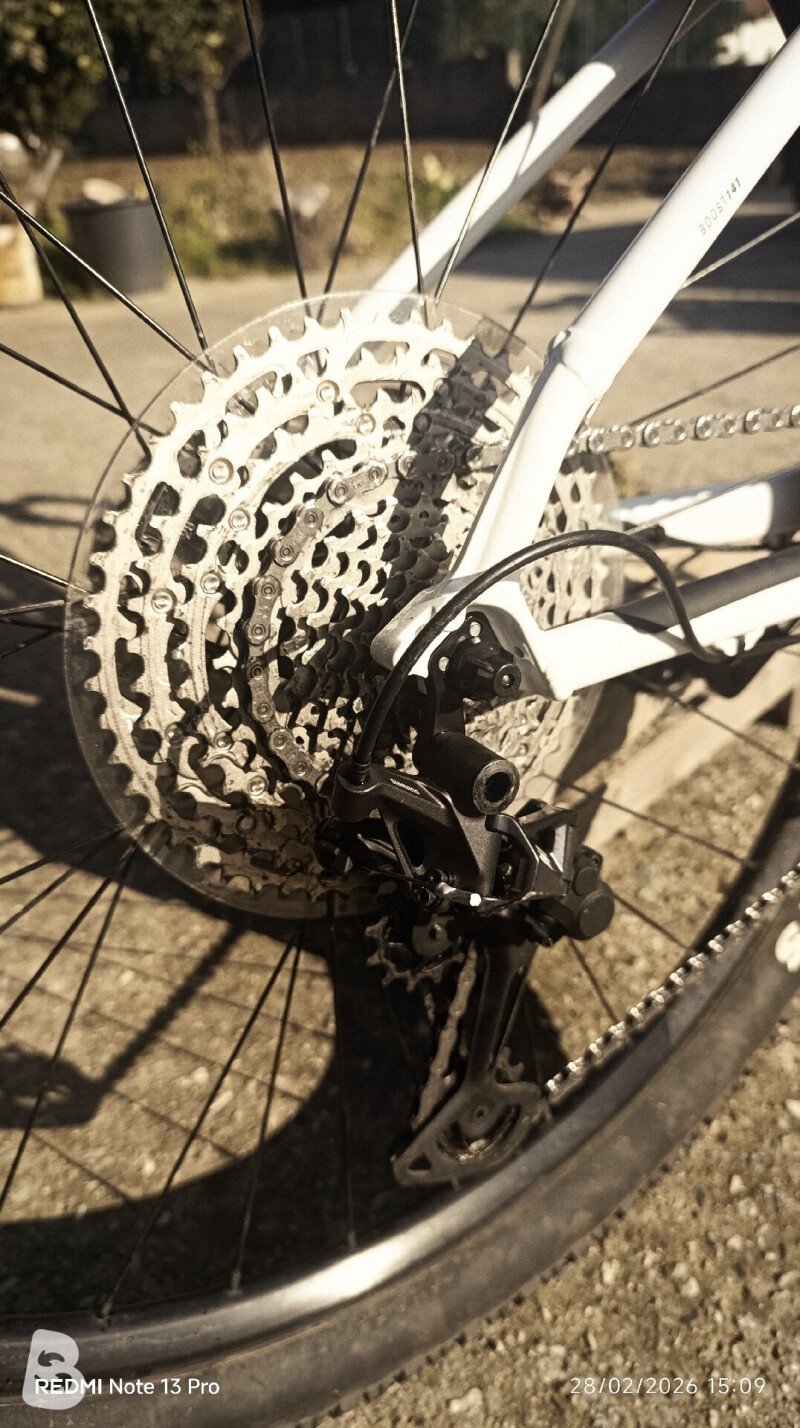 Trek X CALIBER 8 2022