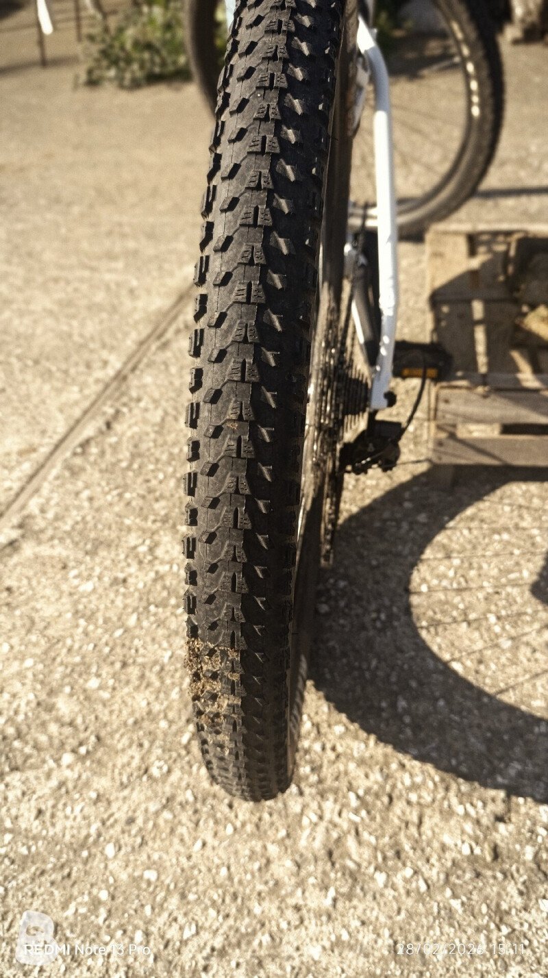 Trek X CALIBER 8 2022