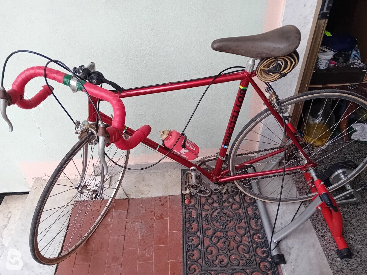 Bottecchia Senior 1980