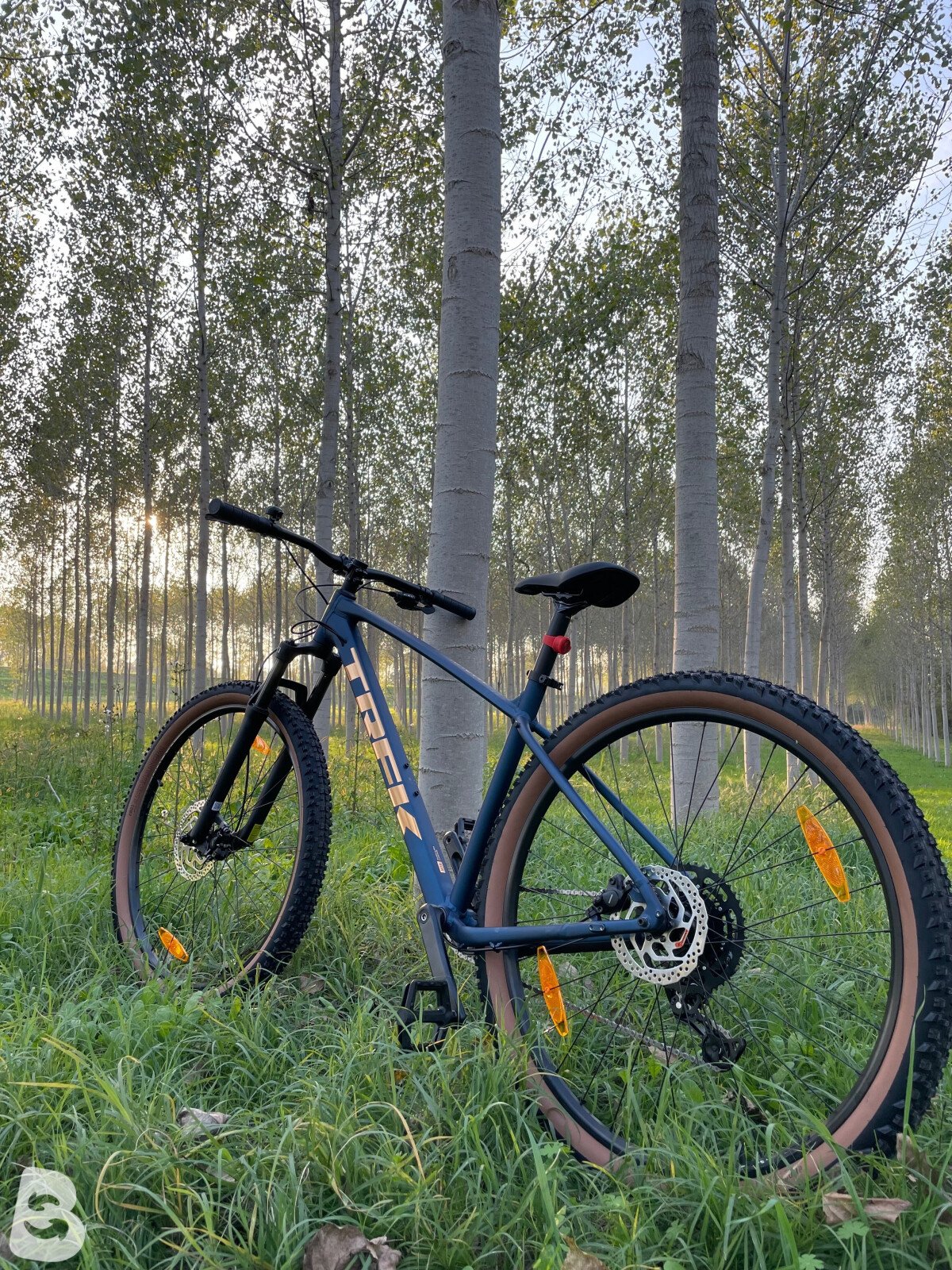 Trek Marlin 5 2026