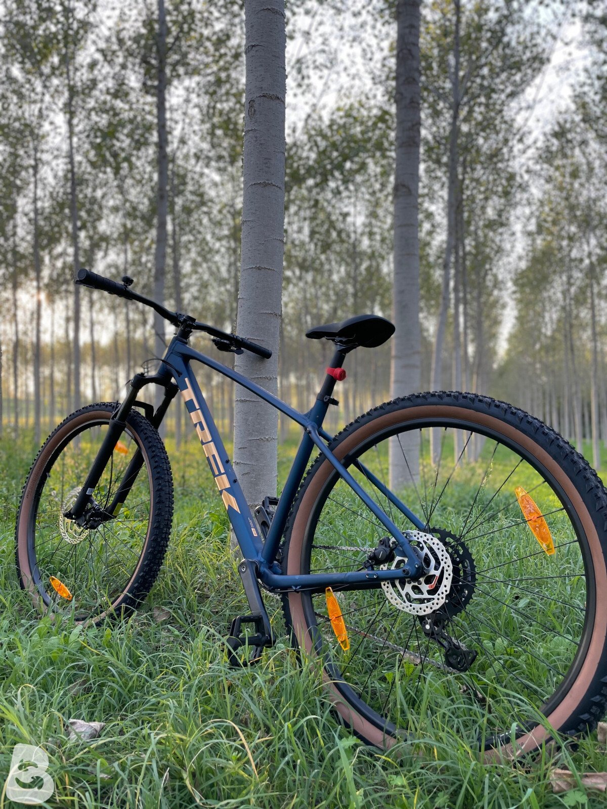 Trek Marlin 5 2026