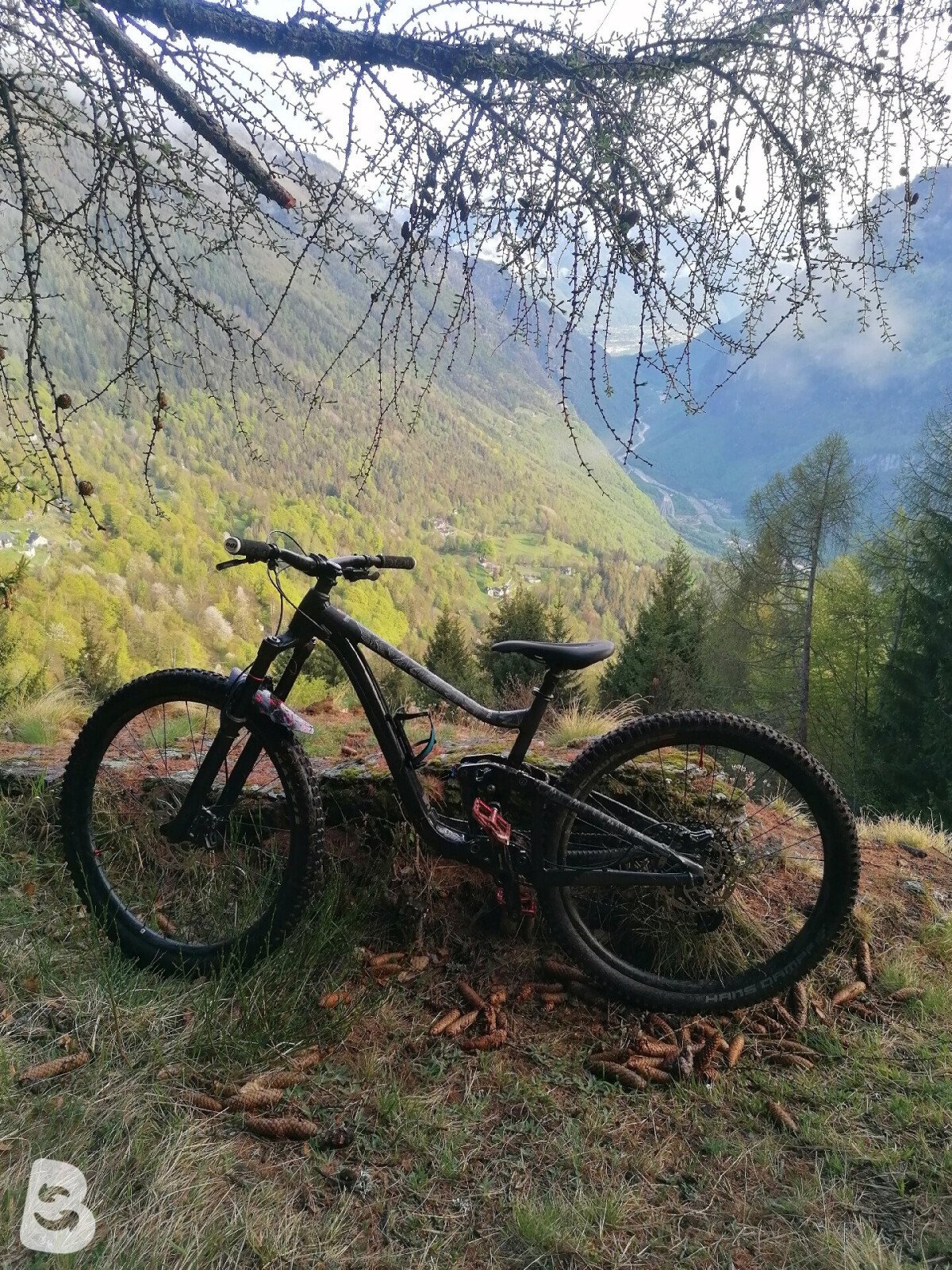 Giant Trance X 3 2021