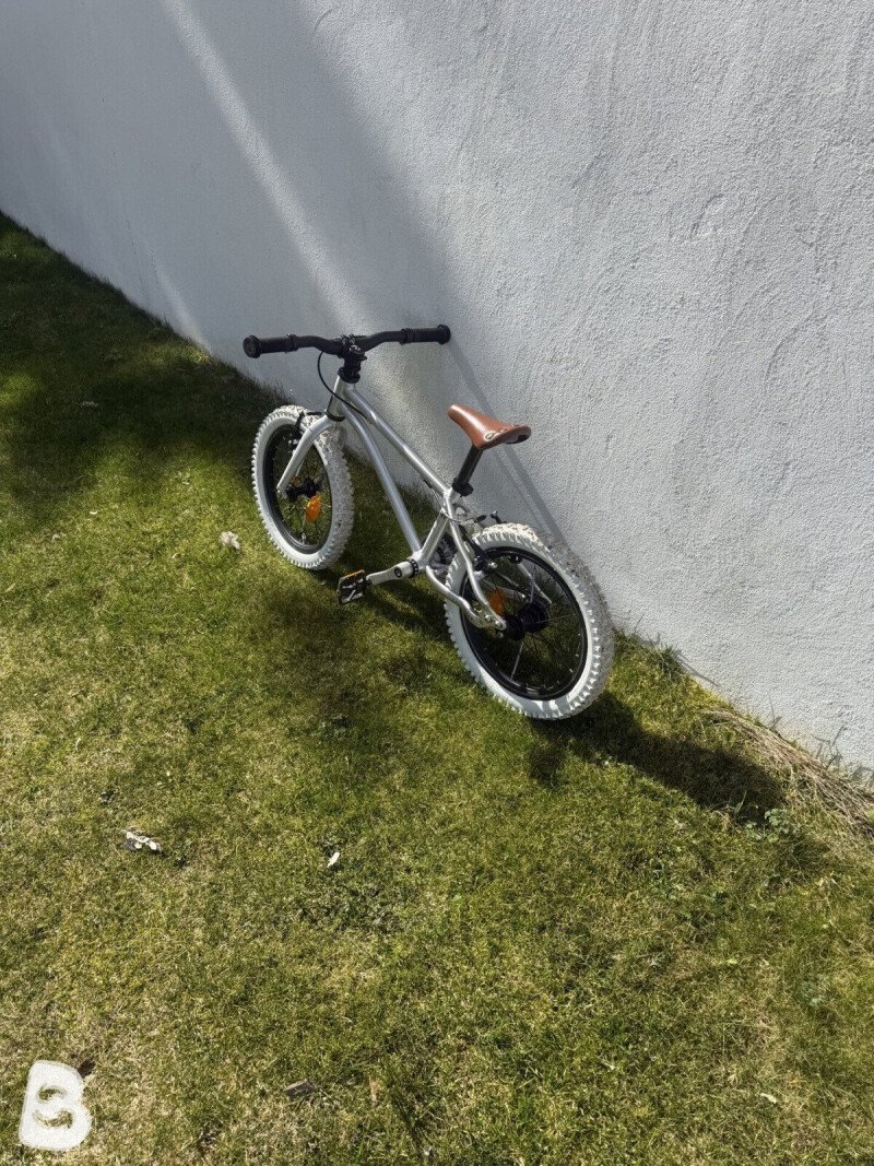 Early Rider Belter 2022