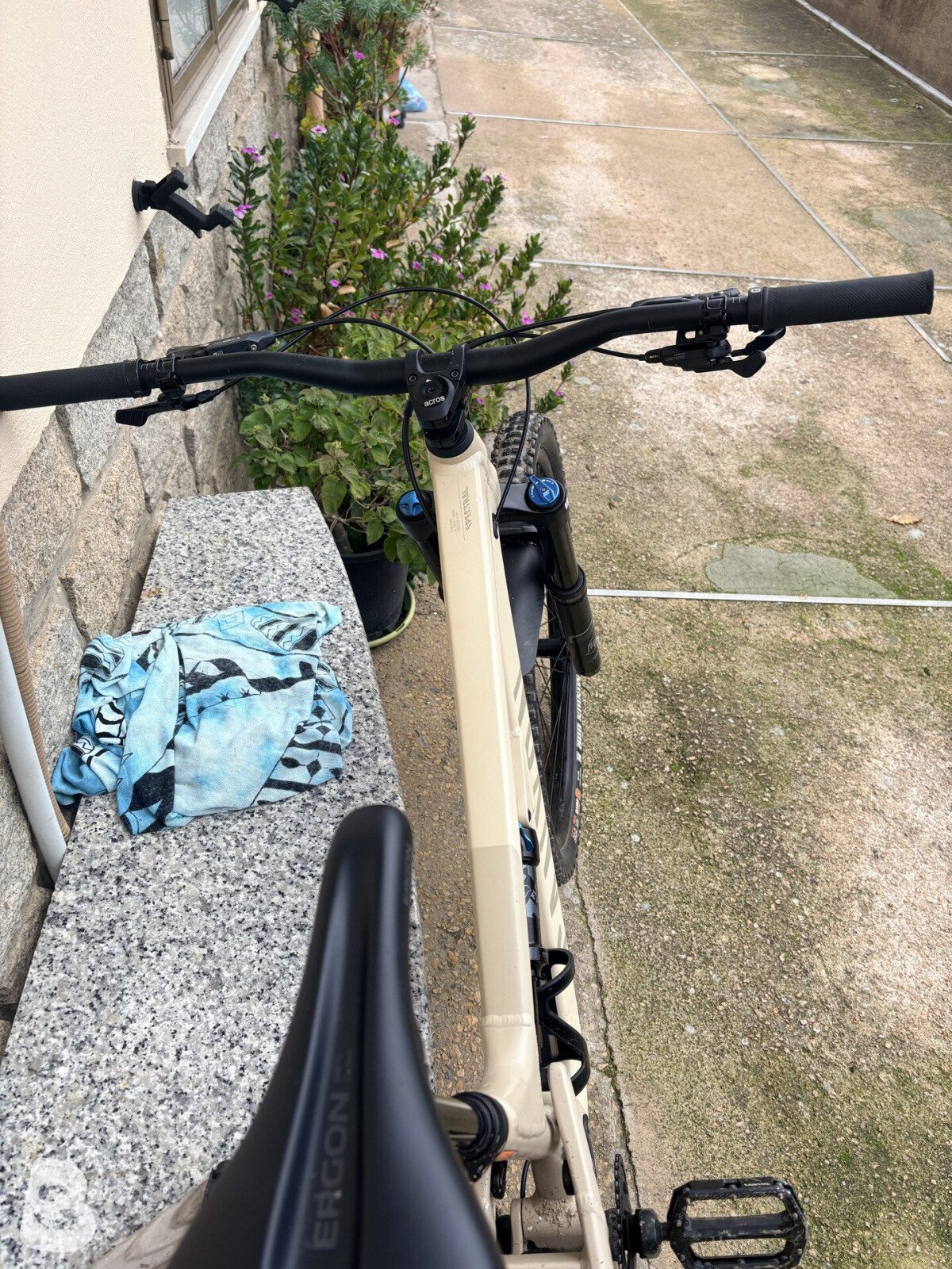 Canyon Spectral 5 2023
