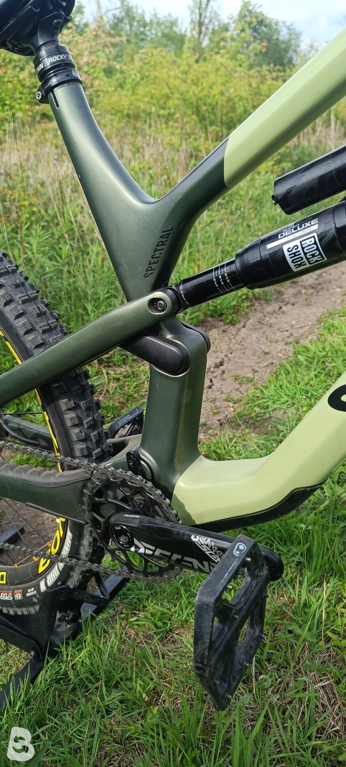 Canyon Spectral CF Custom 2022