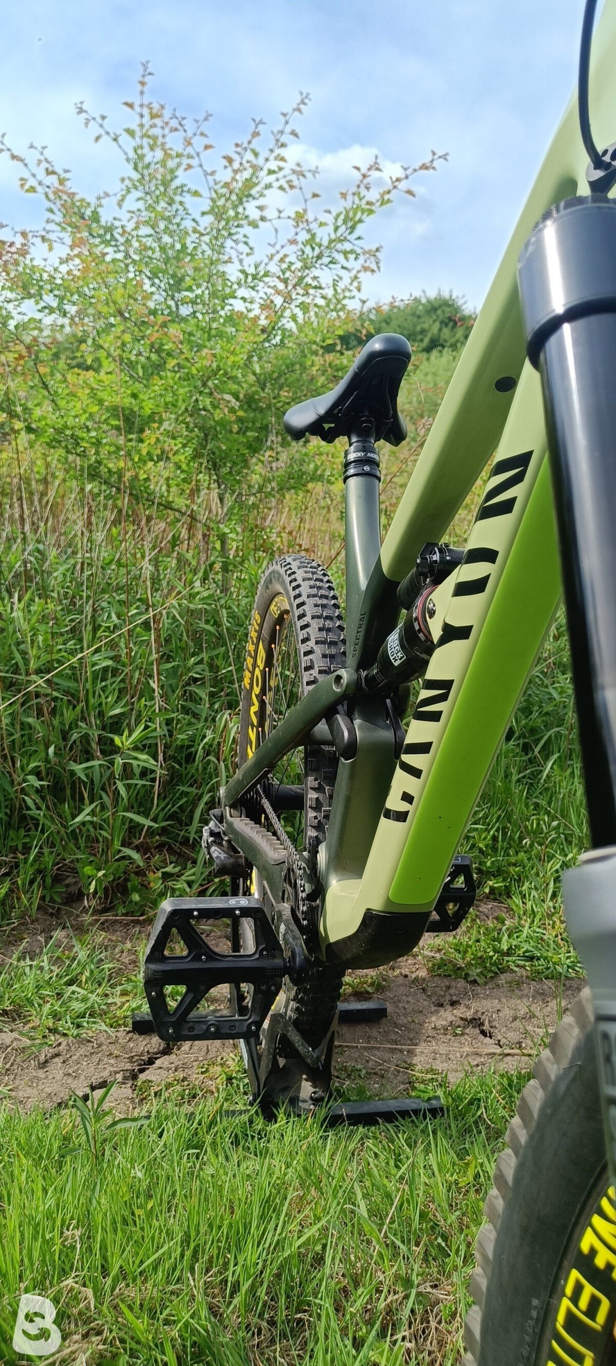 Canyon Spectral CF Custom 2022