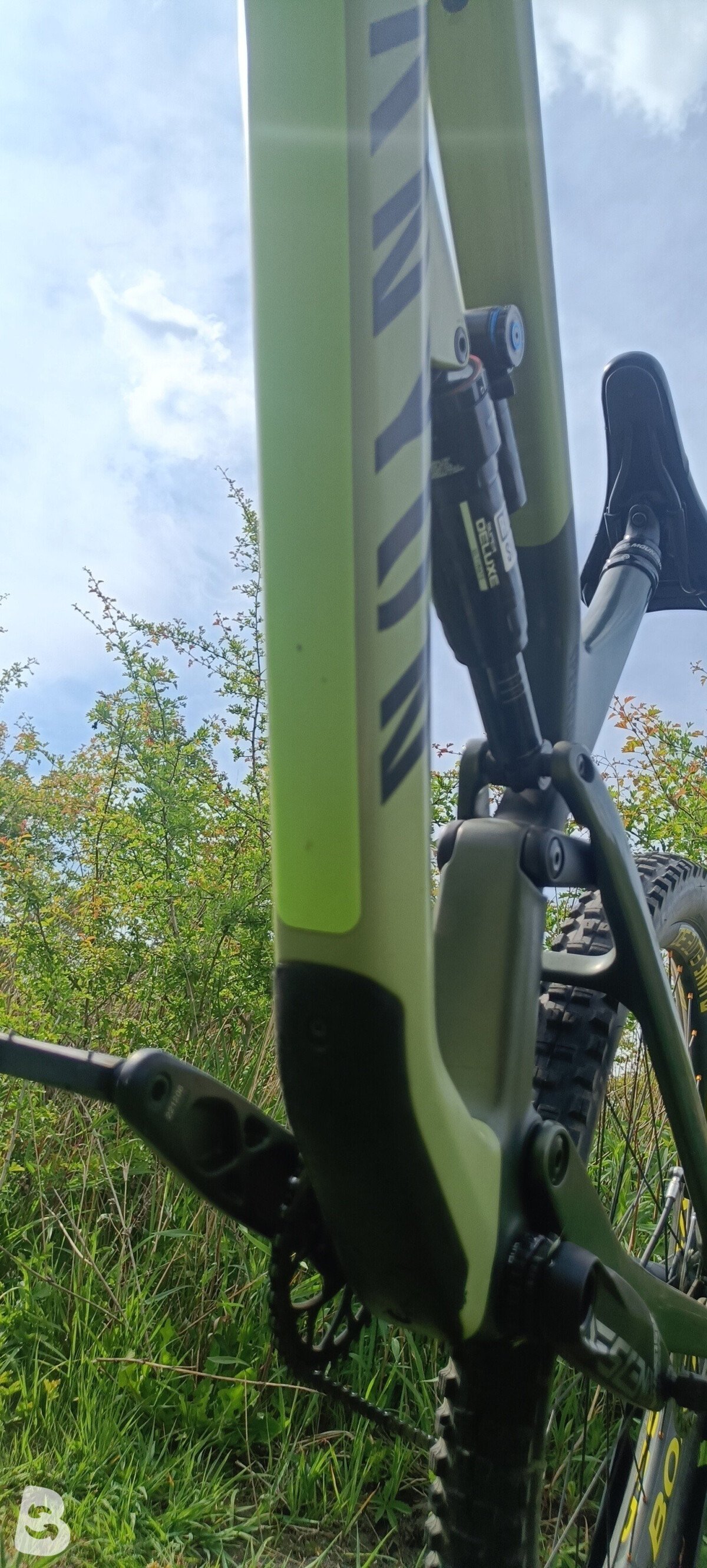 Canyon Spectral CF Custom 2022