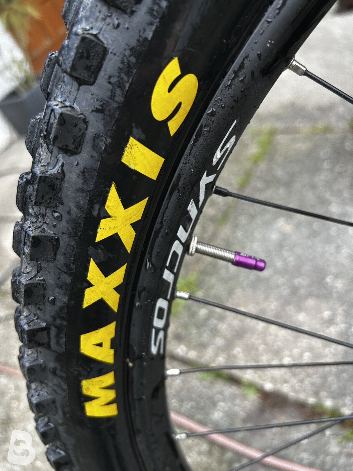 Scott Gambler 920 2022
