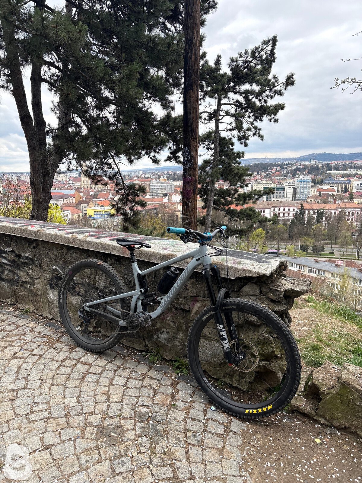 Santa Cruz Bronson R 2020