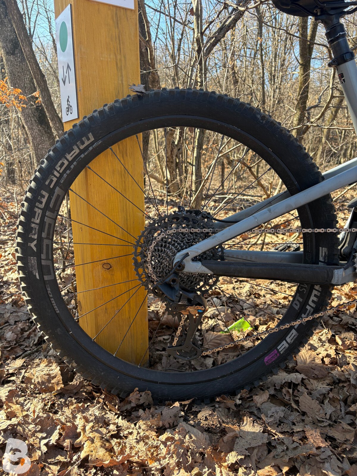 Santa Cruz Bronson R 2020