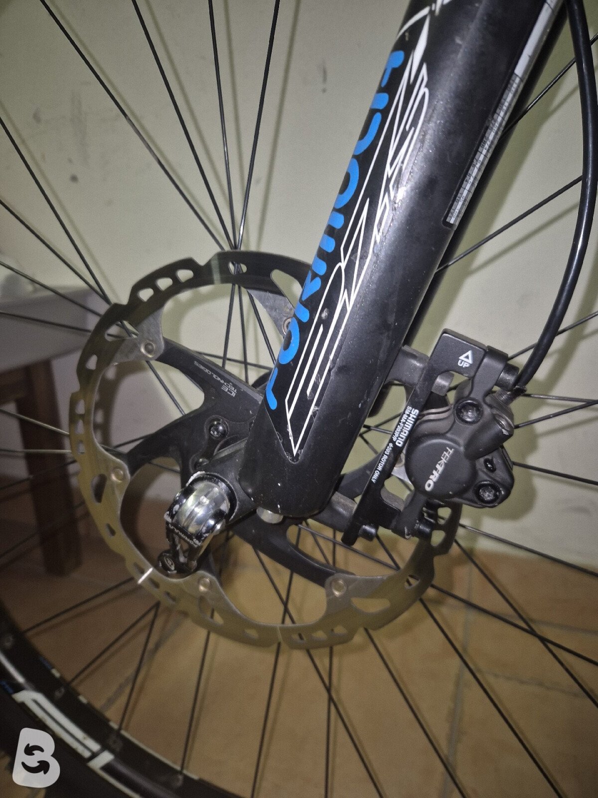 Trek Marlin 5 Women 2021