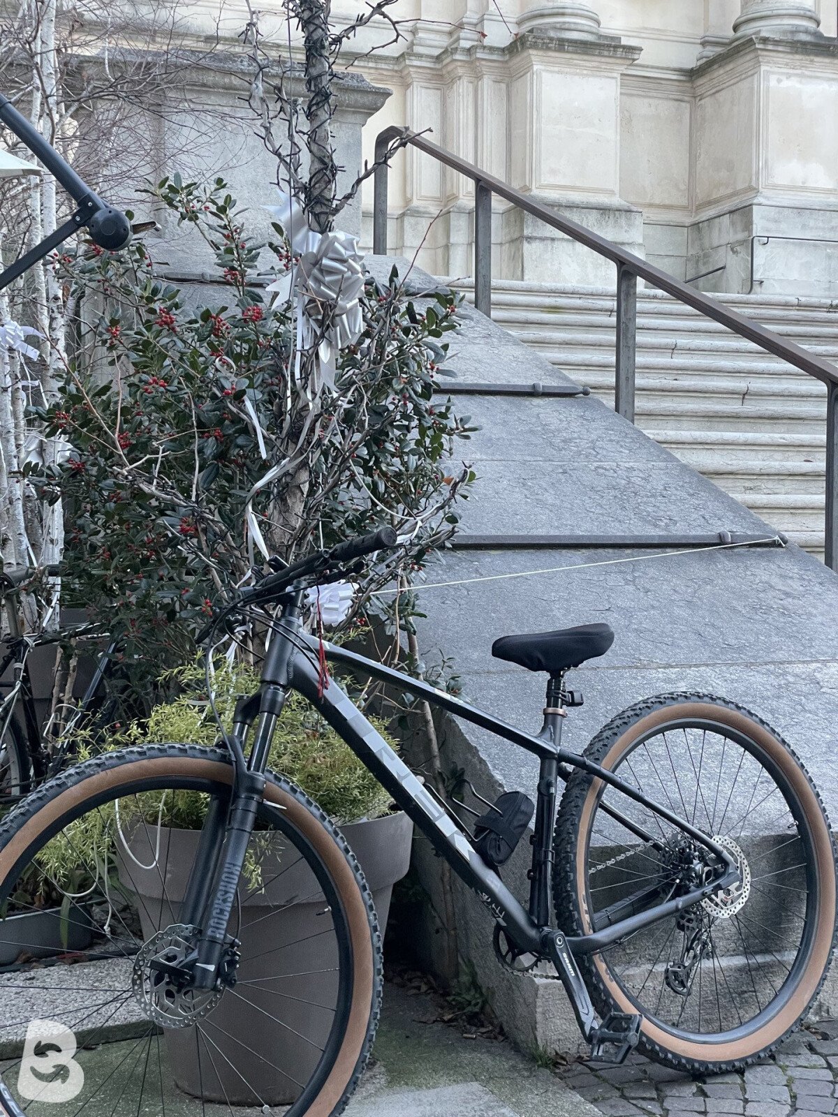 Trek Marlin 8 2024