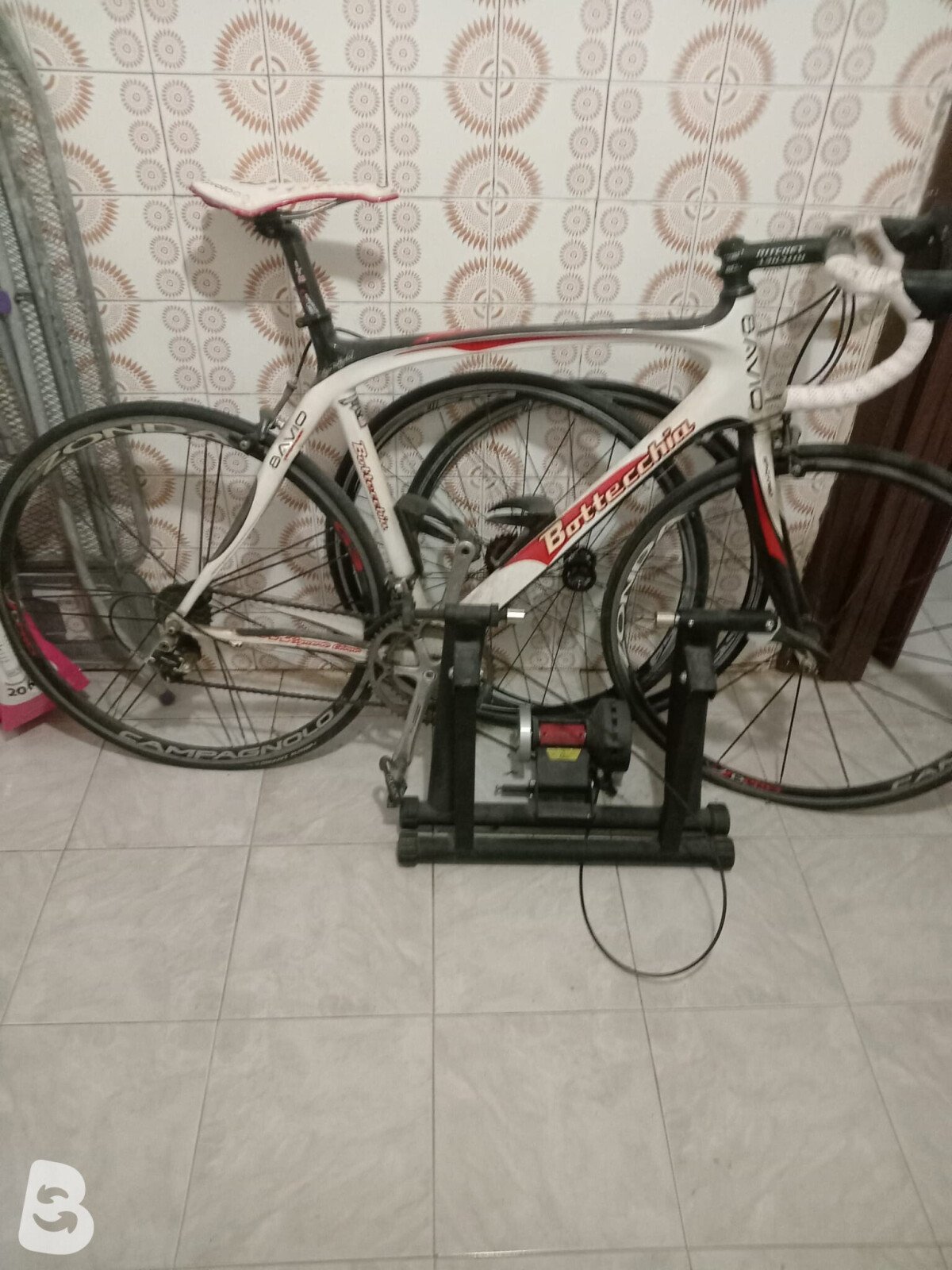 Bottecchia Ottavio 2018