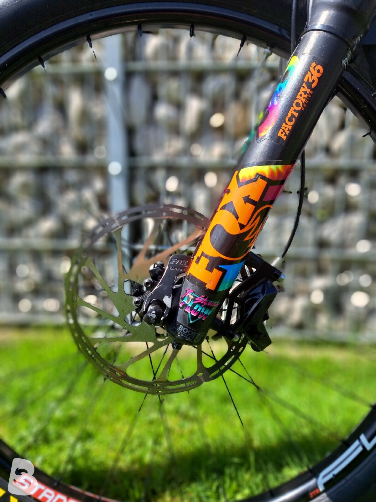 Santa Cruz Bronson custom 2022