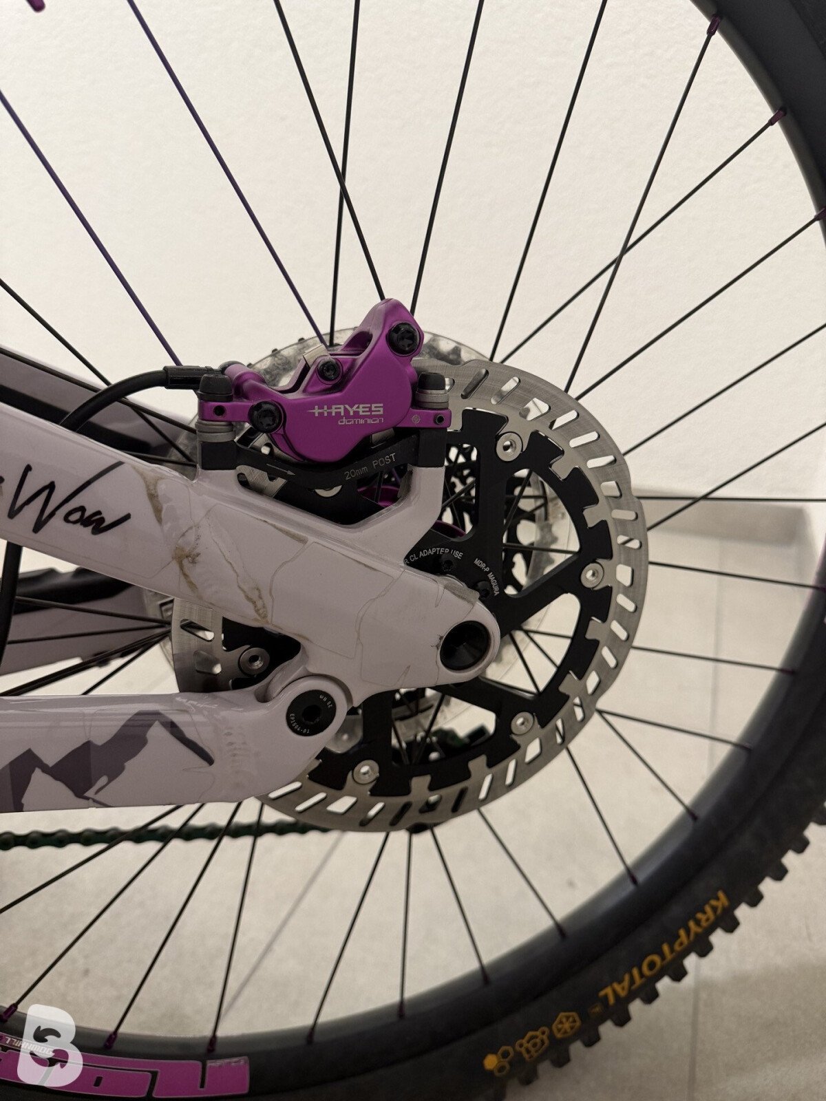 Canyon Torque AL 6.0 2025