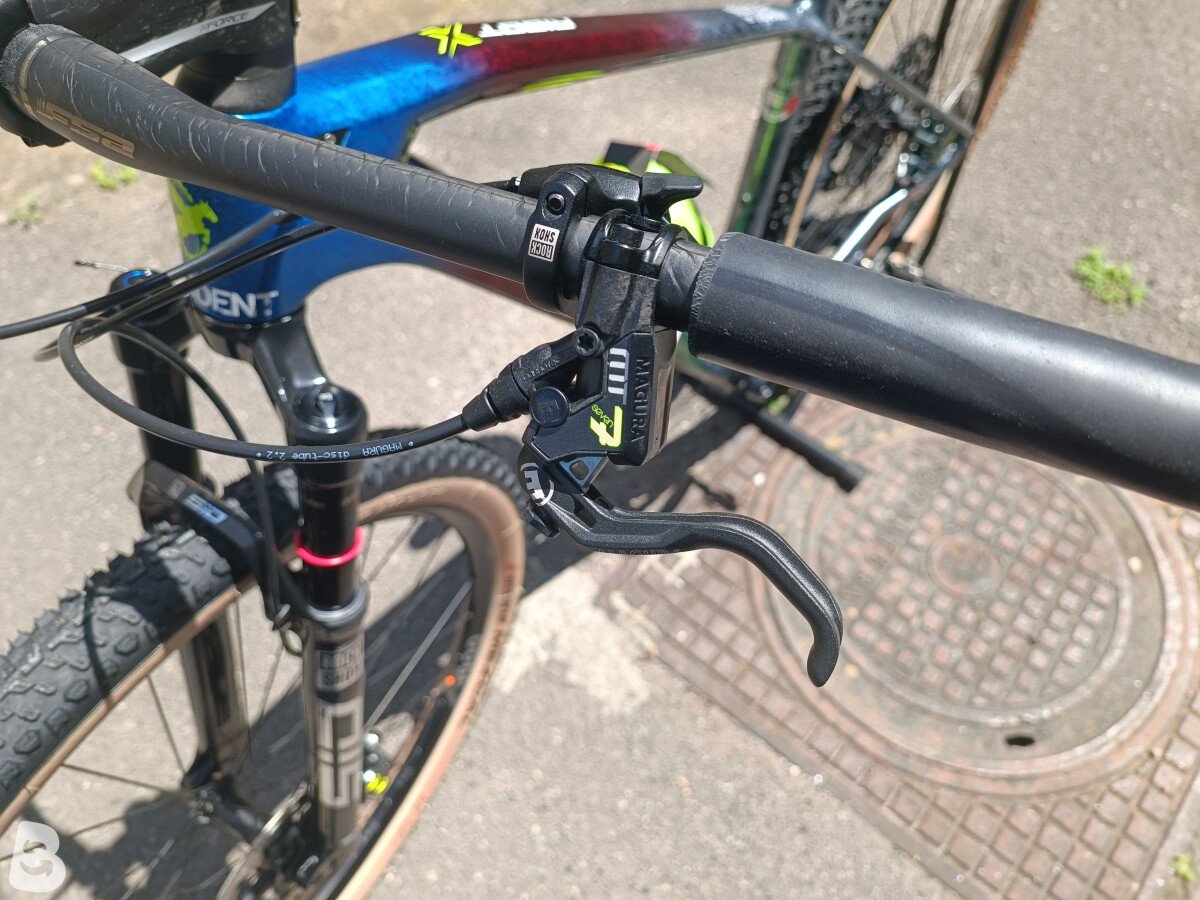 Torpado Ribot x 2019