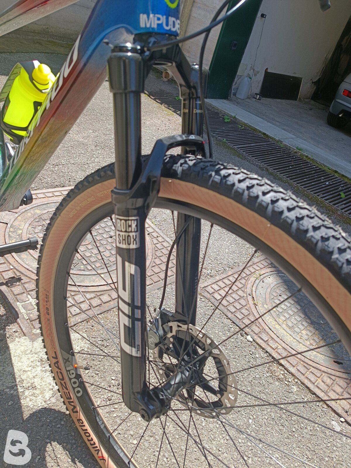 Torpado Ribot x 2019