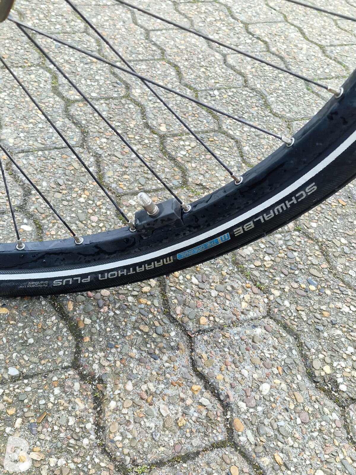 Gudereit ET-3.5 Evo 625 Wh 2023