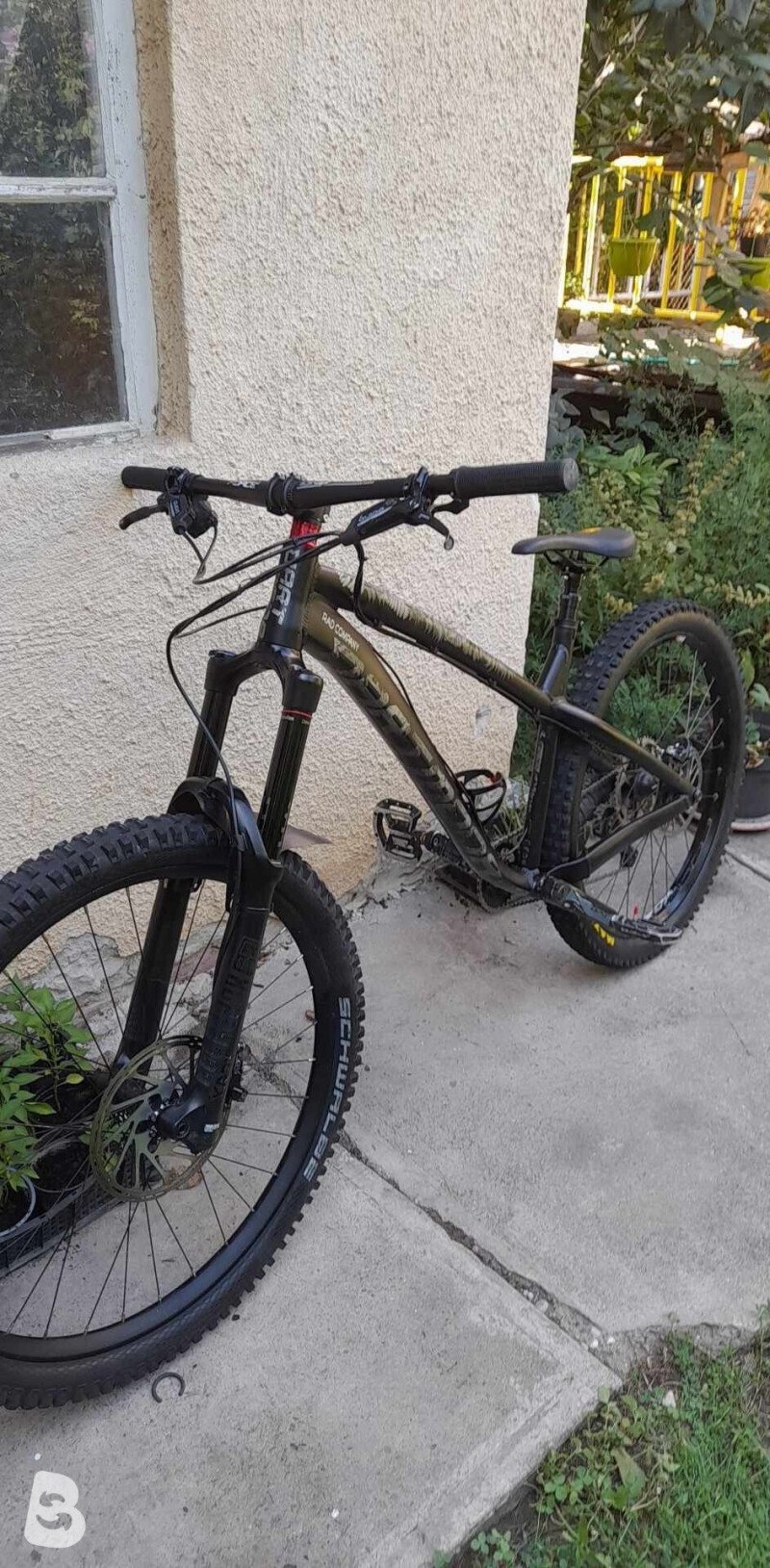 Dartmoor Hornet 2021