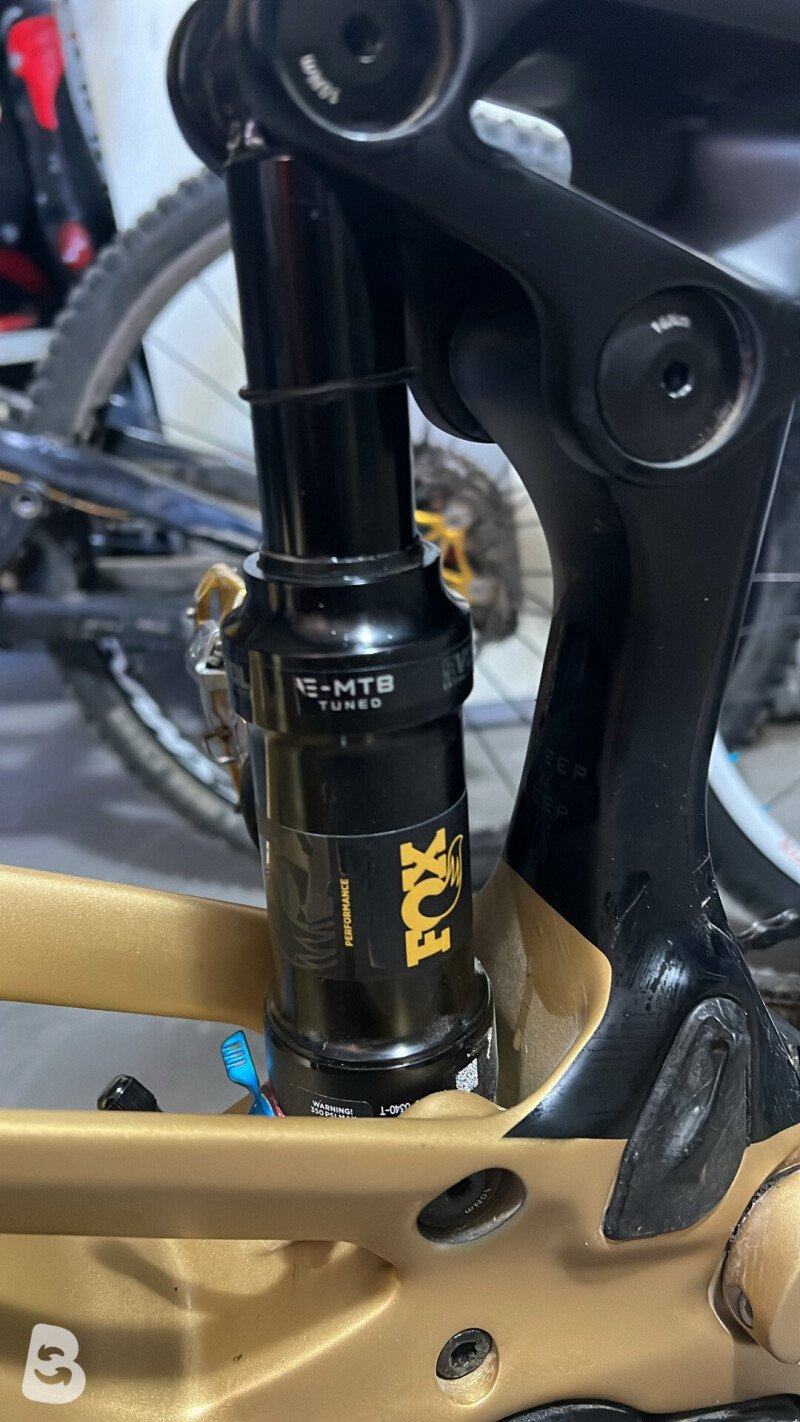Orbea Wild FS M20 2024