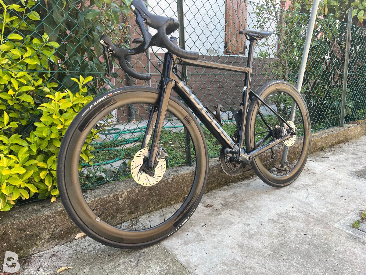 Focus IZALCO MAX DISC 8.8 2021