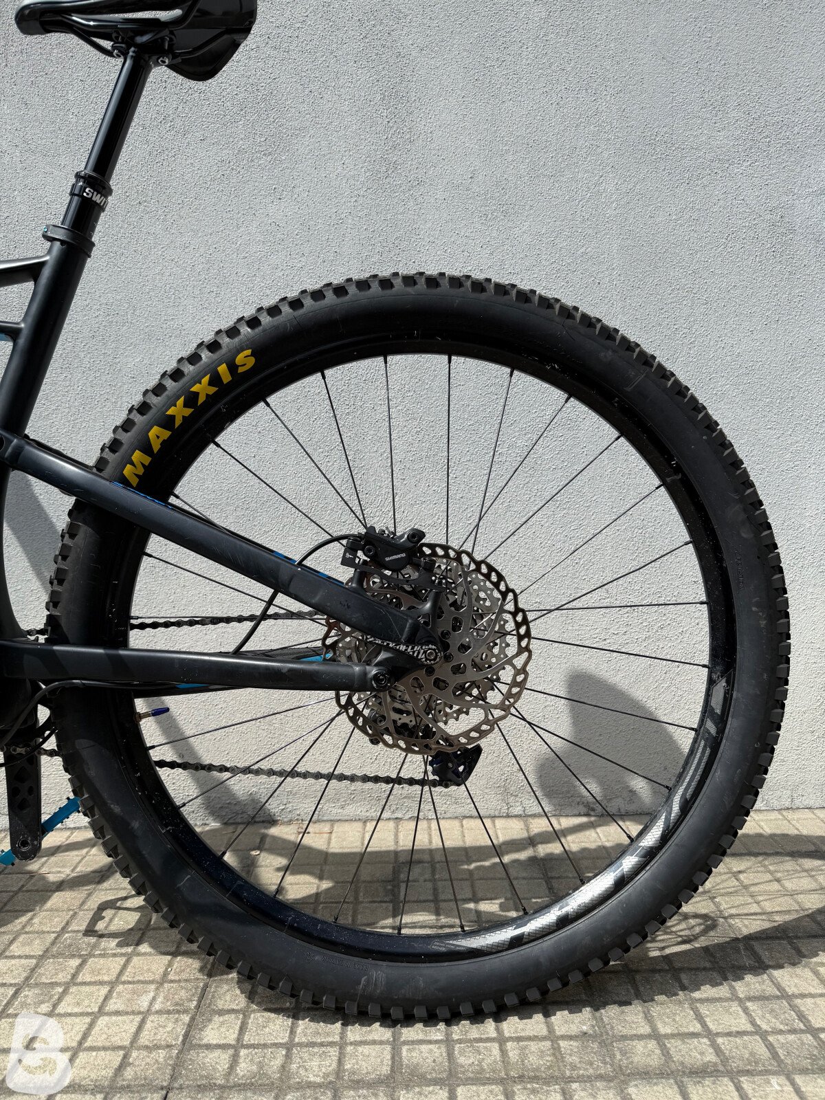 Specialized camber 2018