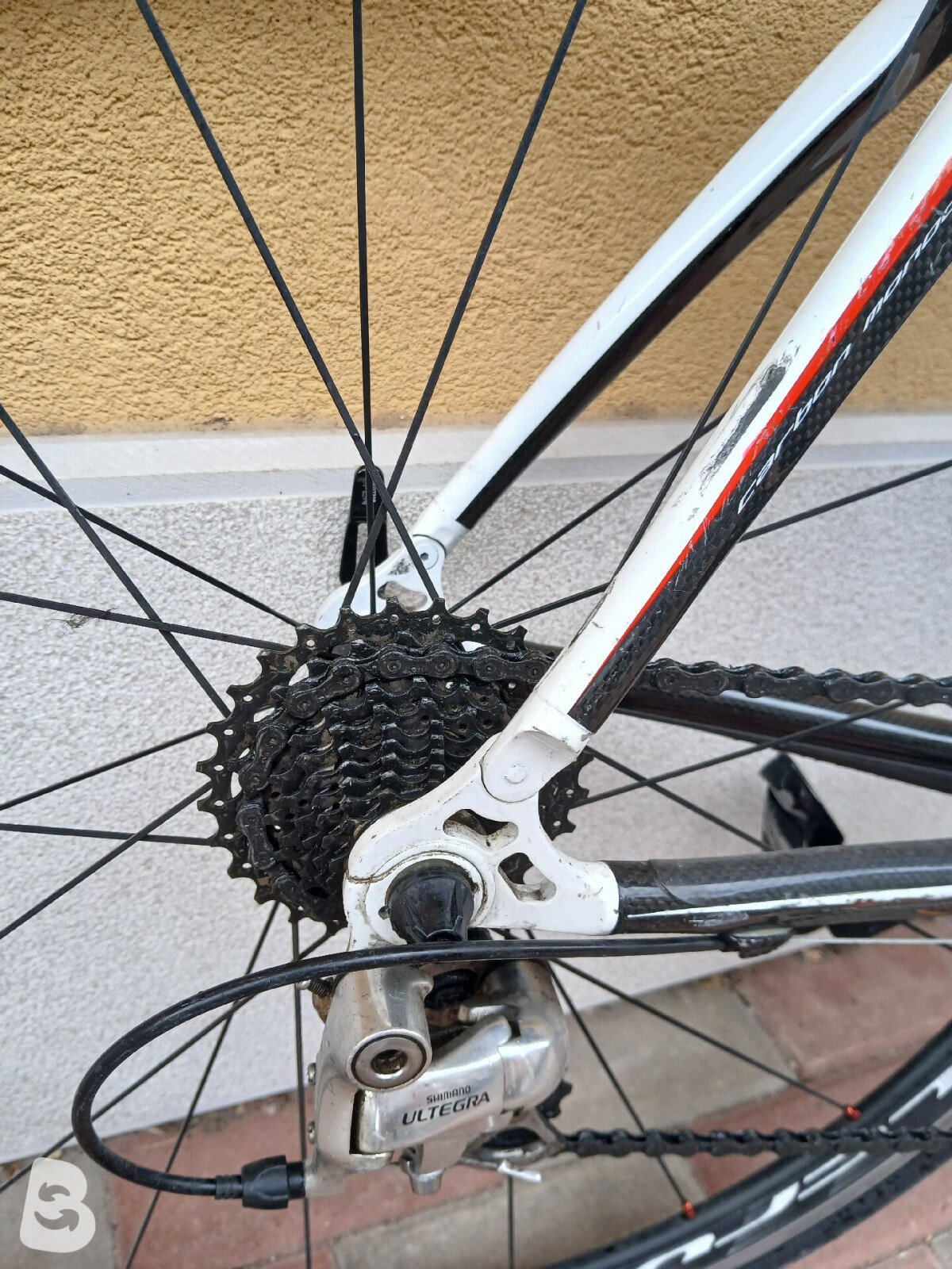 Olympia rsx carbon 2018