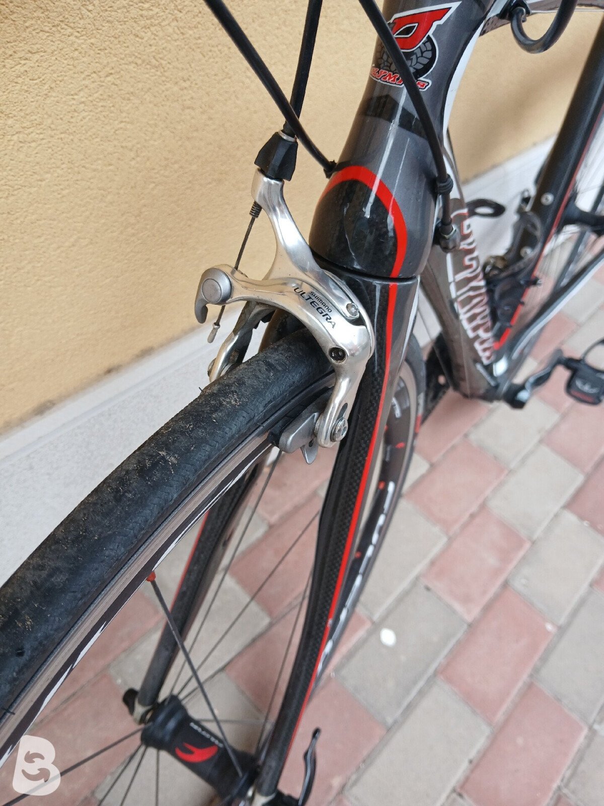 Olympia rsx carbon 2018