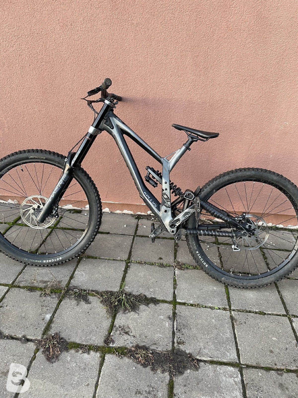 Kellys Noid 70 2022