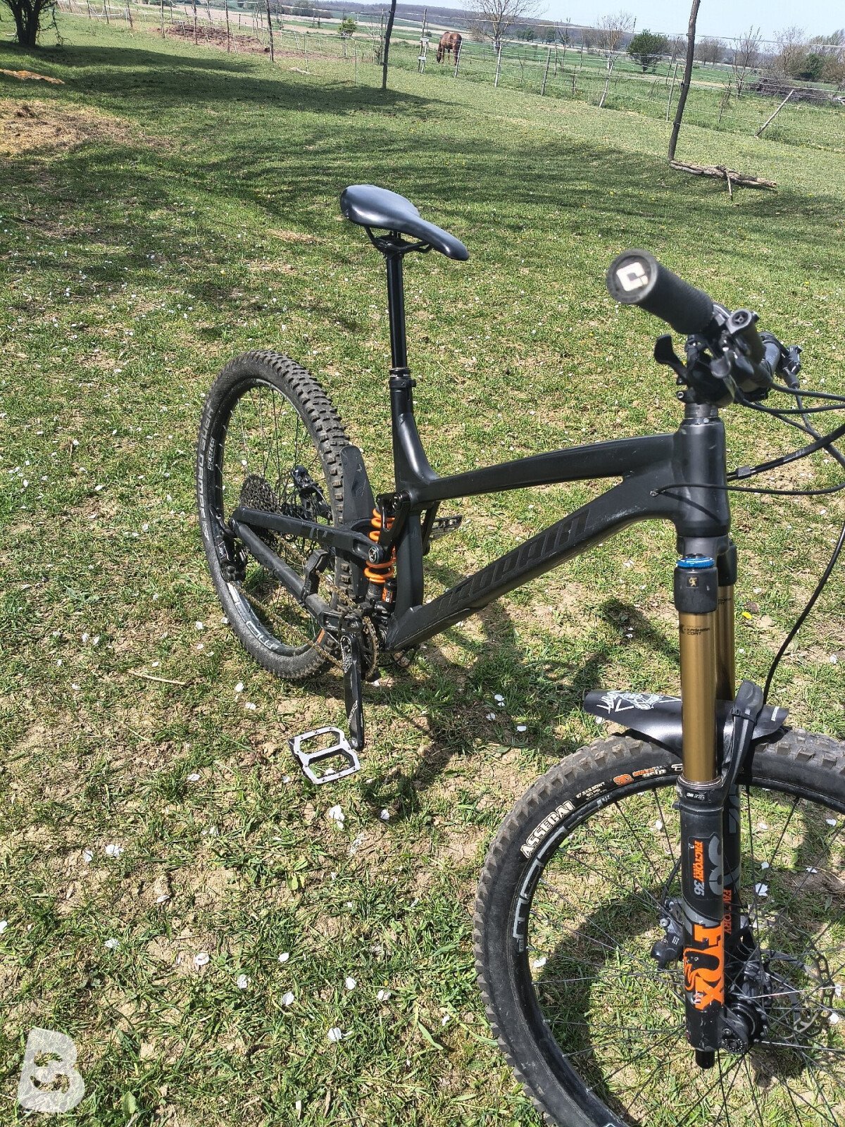 Propain Spindrift High End 2019