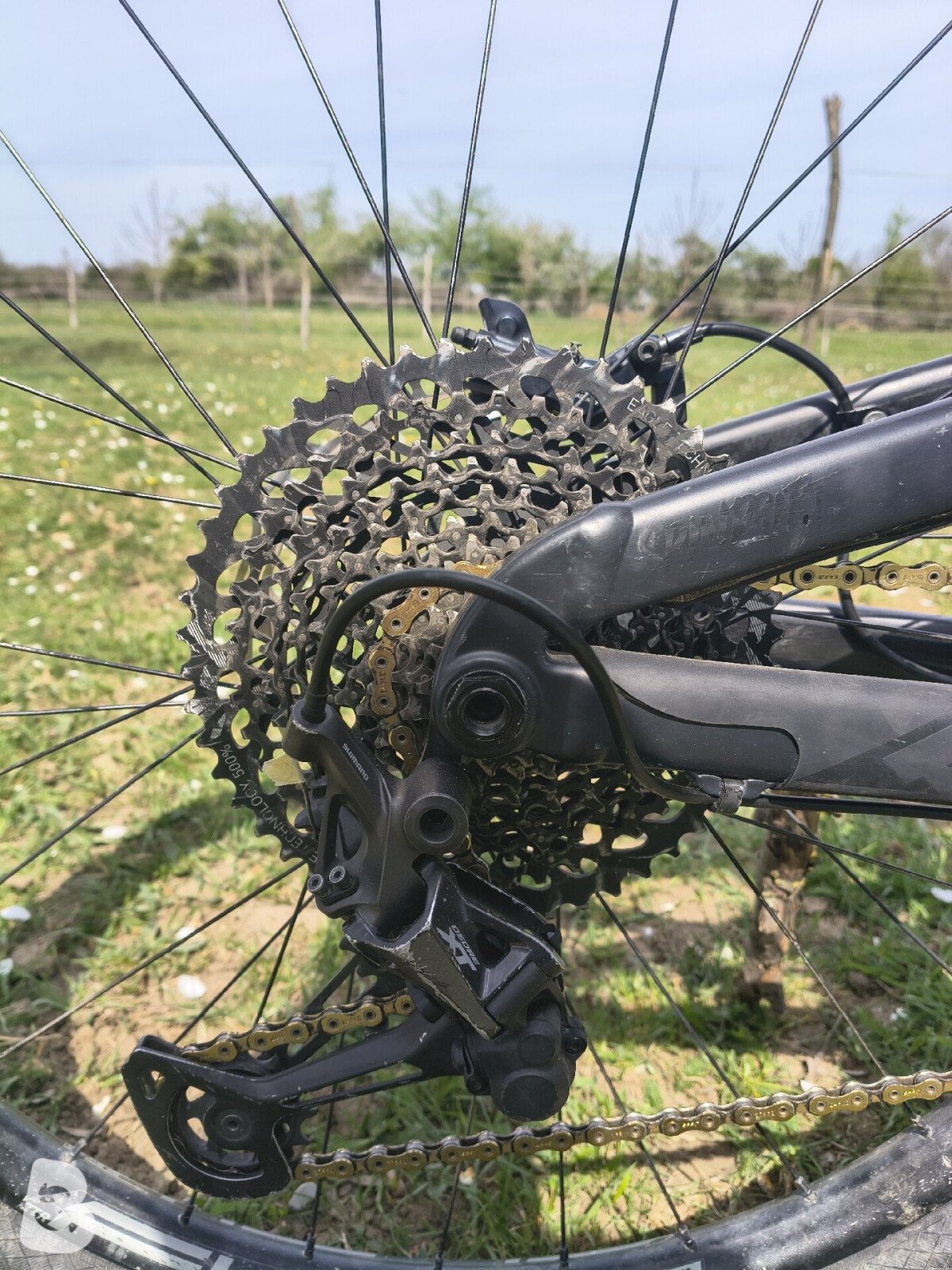 Propain Spindrift High End 2019